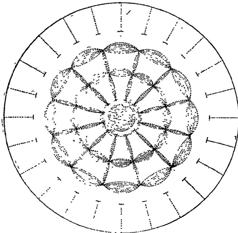A diagram showing a circular plate with a complex pattern of nodal lines and antinodes, illustrating the vibration modes of a circular plate. The pattern consists of concentric circles and radial lines, creating a flower-like appearance with twelve-fold symmetry.